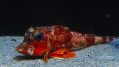 10130478009400042500_tcvpdzo0la