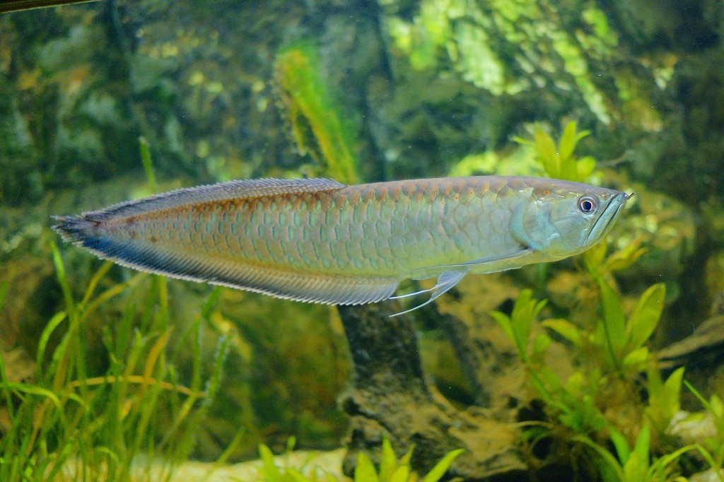 10226088978500042500_hun22k1qla