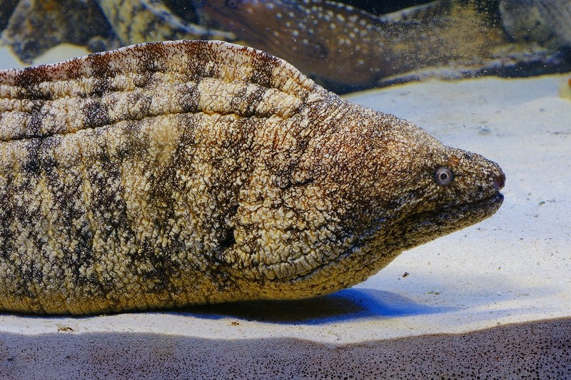 10428798222700042500_kqq3zpglla