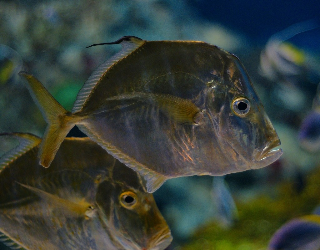 10127574693800042500_r9l5jdp5la