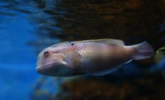 10231696228100042500_3mtna0vsla