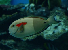 10226503968400042500_2onaxvmkla