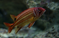 10133277296800042500_q91z5d05la