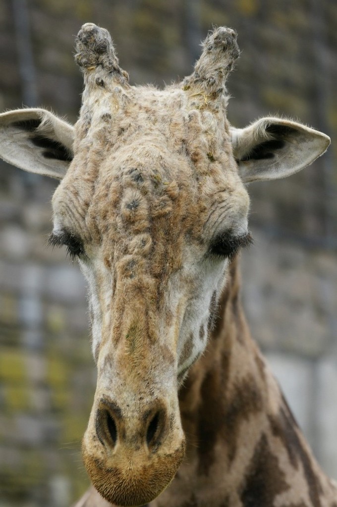 10238150900200042500_idw9jee5la