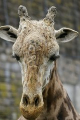 10238150900200042500_idw9jee5la