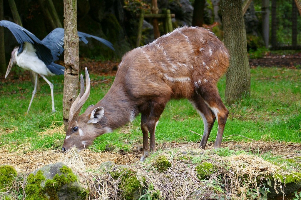 10229584840400042500_1nvp5pxmla