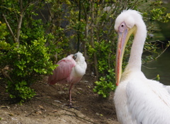 あんたは寝てな！