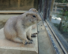 外が騒がしいようだな　その10