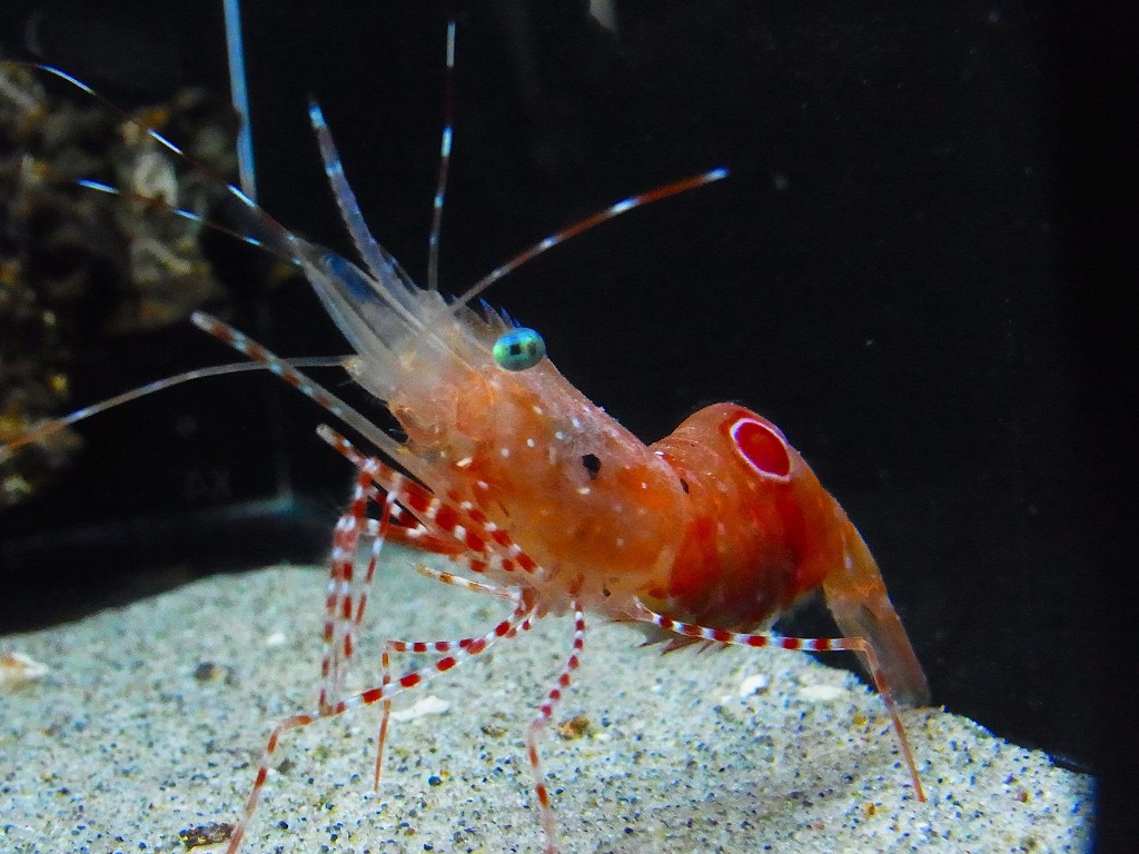 10430417711900042500_en6wndofla