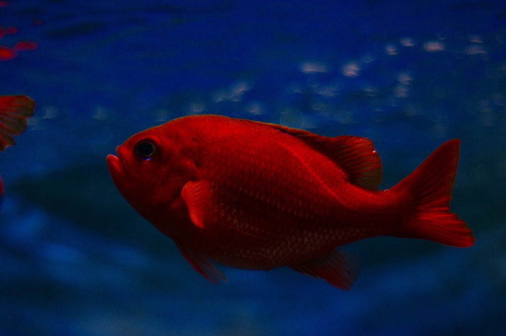 10131928477800042500_7jlmuhkvla