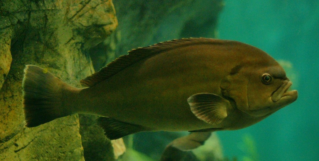 10326915114100042500_7fuvqm97la