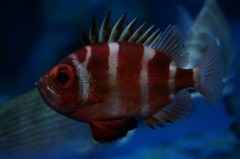 10234906239200042500_e8y44mw1la