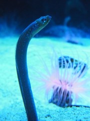 10235911234400042500_pz9y4tbbla