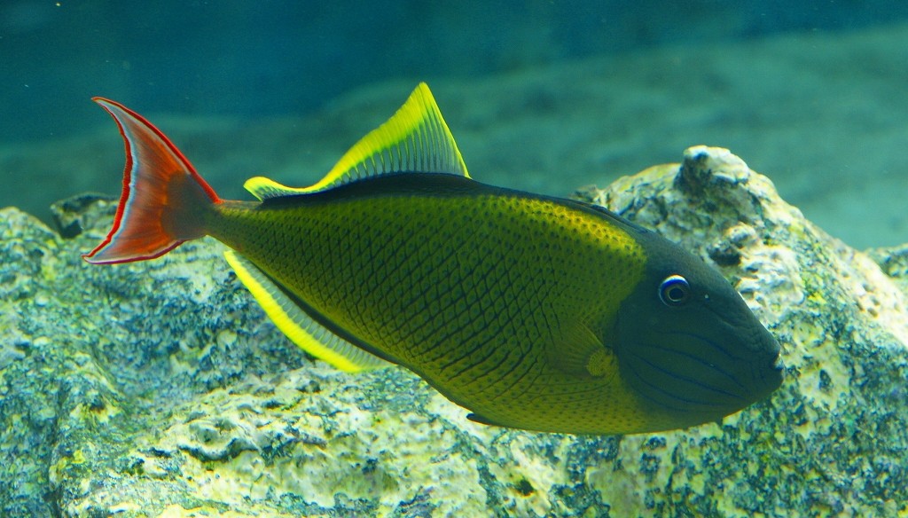 10230296464700042500_m0oy4b57la