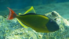 10230296464700042500_m0oy4b57la