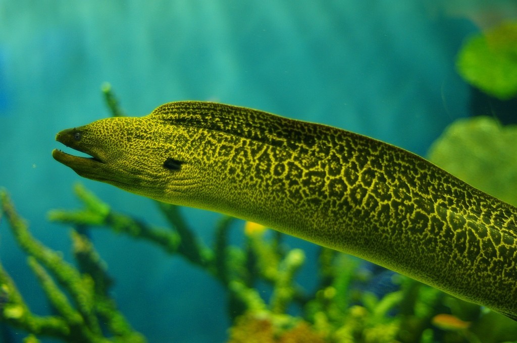 10333637151200042500_s19hjz73la