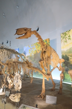 ちょいと、そこの・・・