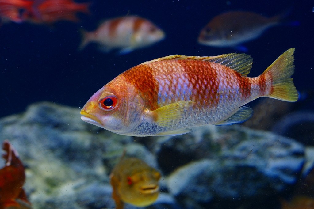 10130105426800042500_3fch8mi5la