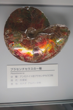 カラフルちゃん　その55