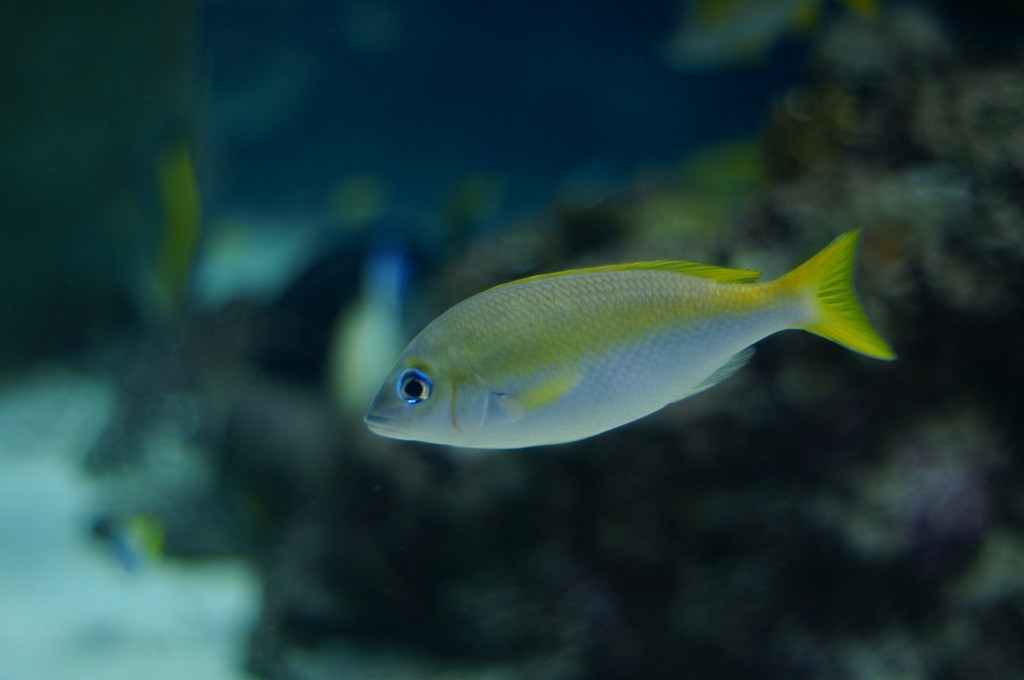 10133225212100042500_mdug5lvula