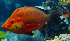 10326486409100042500_tr5h1cmlla