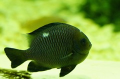 10333672586600042500_4yh90qeila