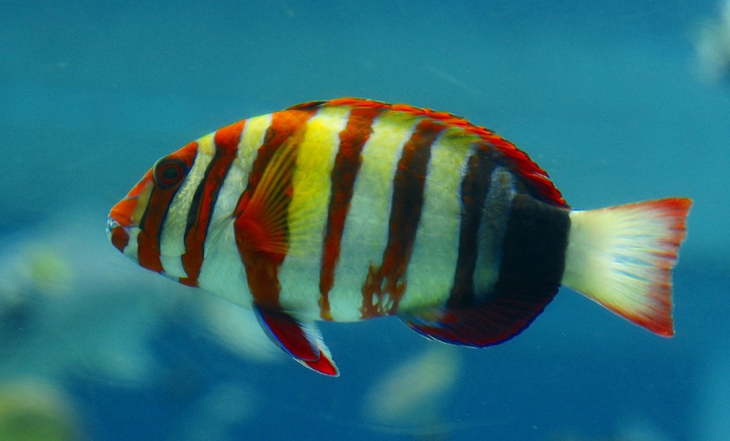 10225819260800042500_uv7v5ue0la