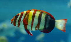 10225819260800042500_uv7v5ue0la