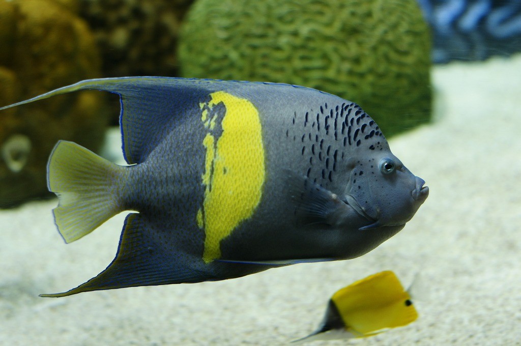 10236150142600042500_uhafnnz7la