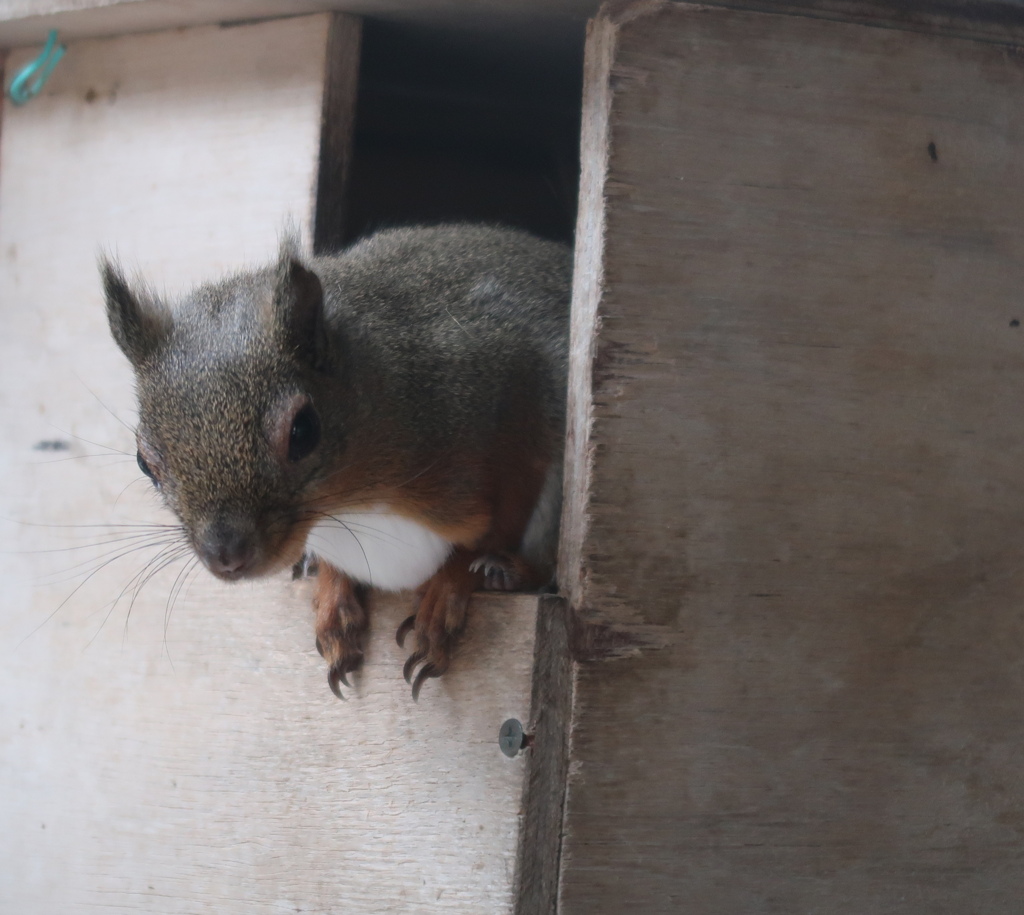 外が騒がしいようだな　その26