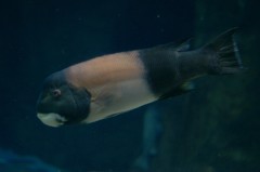 10129319884000042500_0ll9klxlla