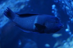 10135251460500042500_nubo4lzqla