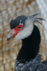 10332948971000042500_0zw1dkprla