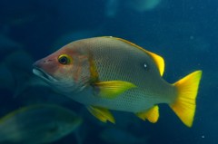 10131995047800042500_q4wha8tqla