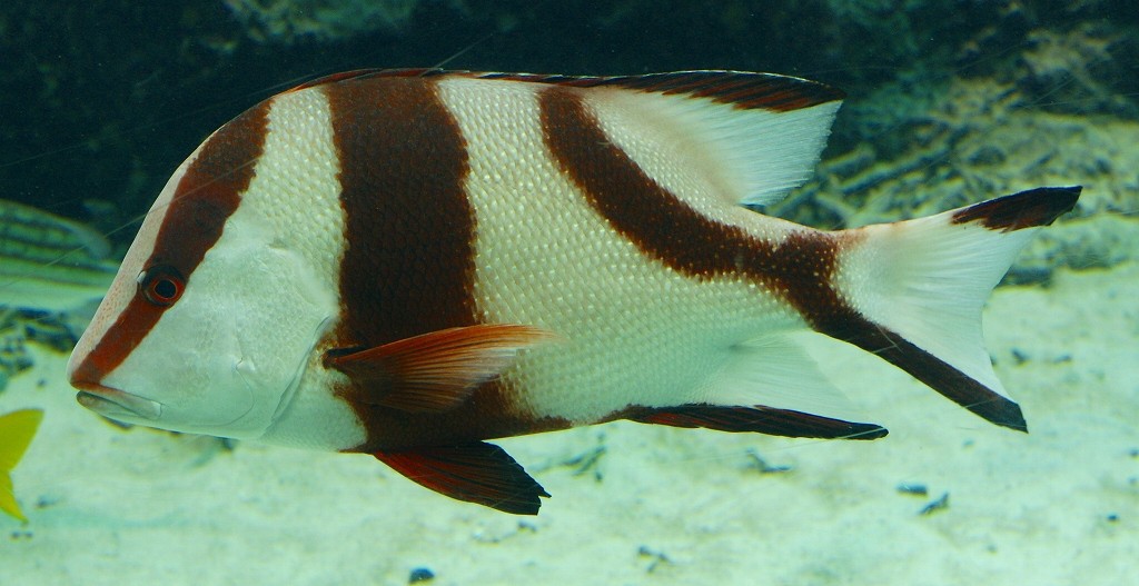 10225803917300042500_rta6mghlla