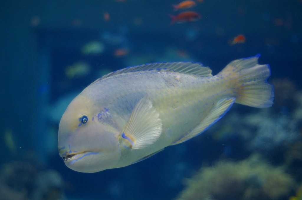 10333208455700042500_0nhhs1t2la