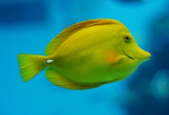 10326503968600042500_igjyfjxola