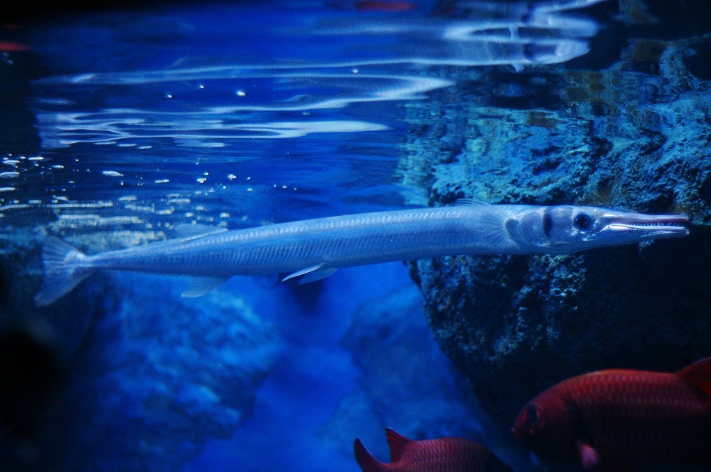 10131627203200042500_5ts0q3b3la