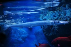 10131627203200042500_5ts0q3b3la