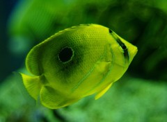 10326702445600042500_lpwtcaozla