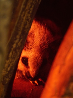 見張ってるからな！！　その60