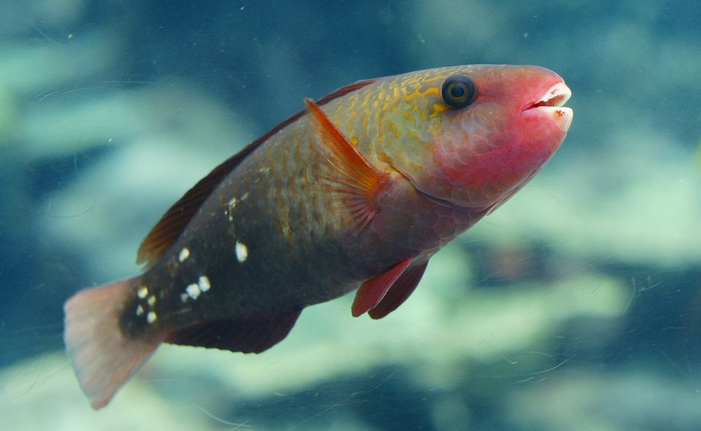 10125803917100042500_cl7zvhoqla