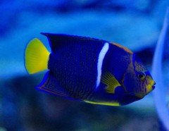 10126875356800042500_82xp3qagla