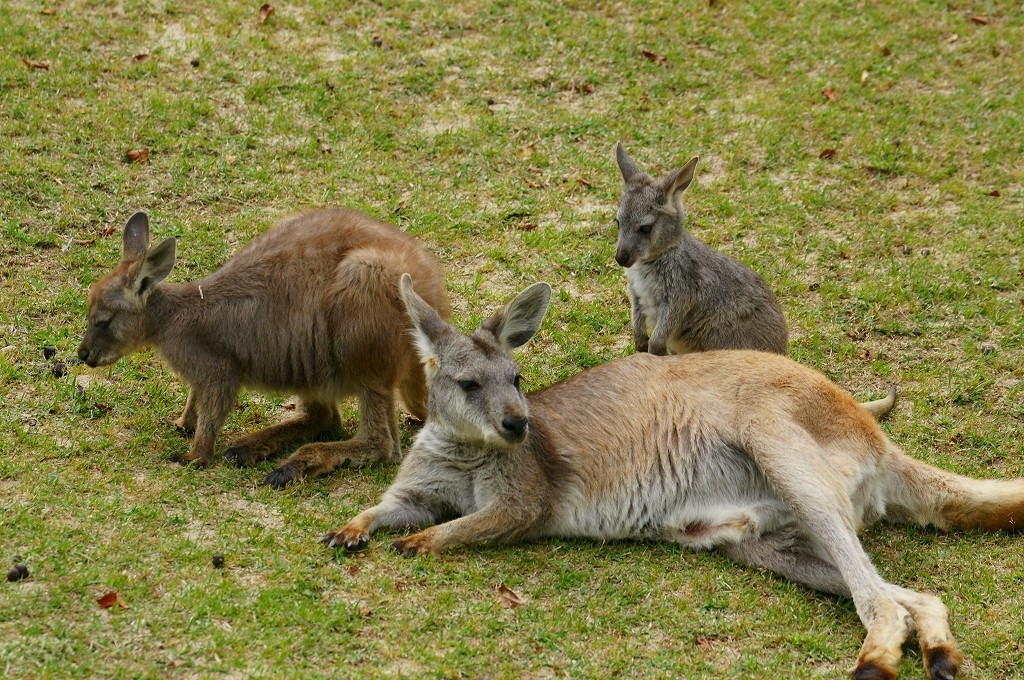 10131312390900042500_q4ep451kla