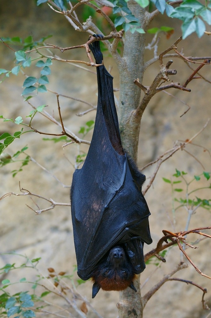 10330915341700042500_kvx3qs7fla