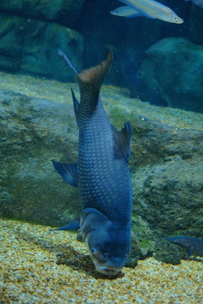 10329397467300042500_0gnu3njrla