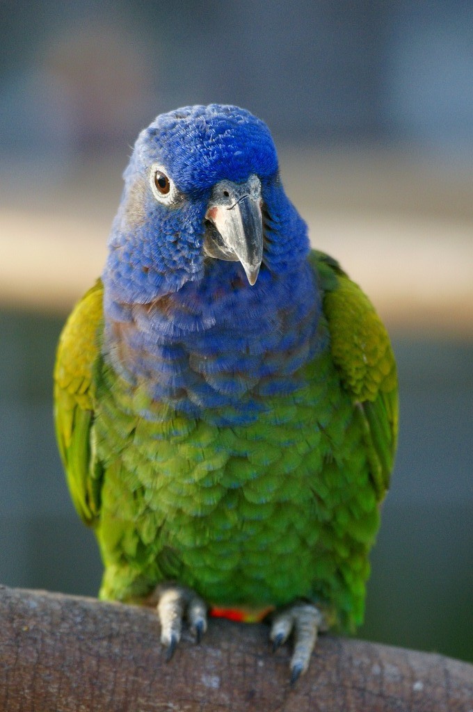 10132775914200042500_v4qd1hufla