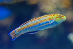 10428586285600042500_7z4vu92ola