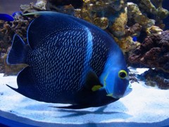 10330555399800042500_pdxreje0la