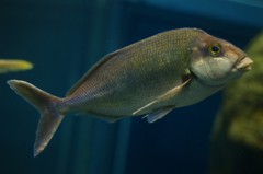 10229993336600042500_iywkb1pnla